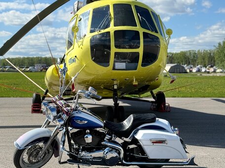 2010 Harley-Davidson Softail Deluxe, пурпурный, 1350000 рублей, вид 3