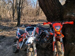 2024 Kayo Basic TT125, белый, 75000 рублей, вид 3