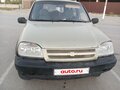 2002 Chevrolet Niva I, серебристый, 230000 рублей - вид 11