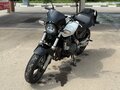 2001 Honda CB 600F Hornet, белый, 345000 рублей - вид 4
