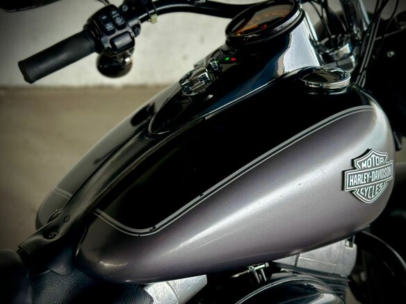 2014 Harley-Davidson Softail Slim, серый, 950000 рублей - вид 21