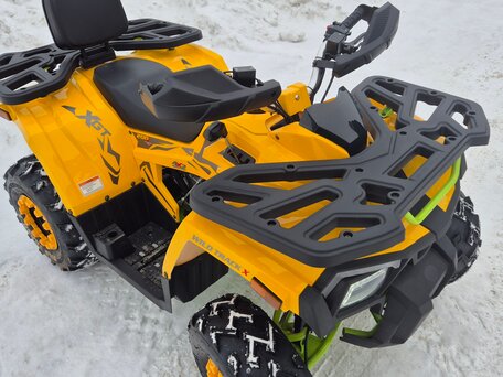 2024 Motoland Wild Track 200, золотистый, 215000 рублей, вид 5