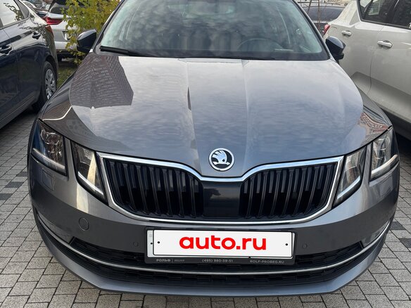 2017 Skoda Octavia III (A7) Рестайлинг, серый, 2250000 рублей