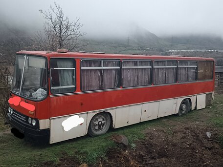 1989 Ikarus 256, красный, 550000 рублей, вид 1