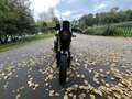 2023 Voge 300AC, золотистый, 283000 рублей - вид 2