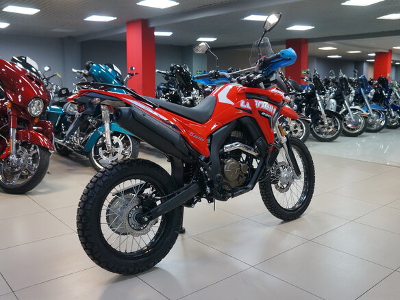 2025 Loncin DS250, красный, 258000 рублей - вид 5