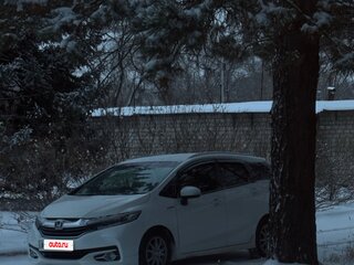 2016 Honda Shuttle II, белый, 1300000 рублей, вид 1