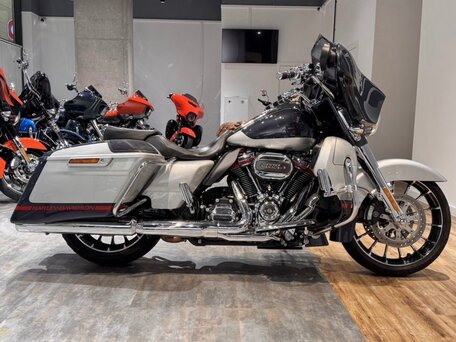 2019 Harley-Davidson CVO Street Glide, серый, 2700000 рублей, вид 3