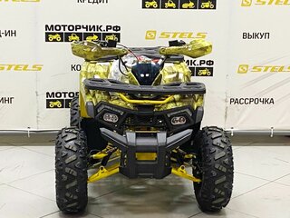 2025 Motoland Wild 125, жёлтый, 99000 рублей, вид 3