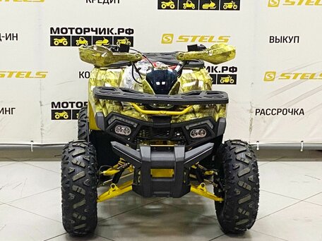 2025 Motoland Wild 125, жёлтый, 99000 рублей, вид 3