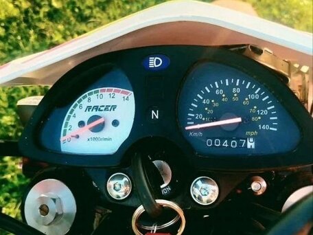2023 Racer Panther, пурпурный, 135000 рублей, вид 3