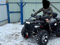 2024 Loncin XWolf 300, чёрный, 340000 рублей - вид 3