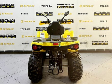 2025 Bison Hammer 200, жёлтый, 219000 рублей, вид 4