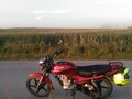 2018 Lifan LF150-13, красный