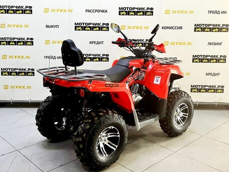 2025 Bison Hammer 250 PRO, красный, 252990 рублей, вид 5