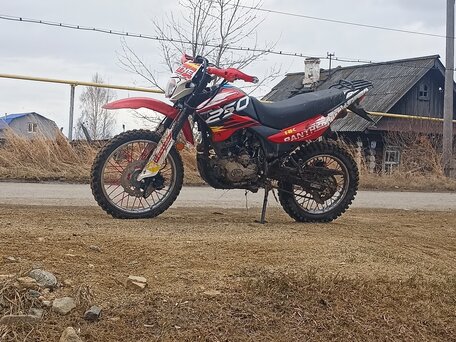 2024 Racer Panther, красный, 145000 рублей, вид 2