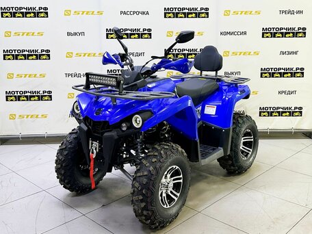 2025 Bison ATV200, синий, 239900 рублей, вид 1