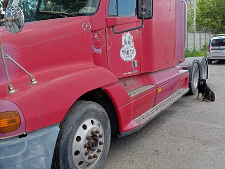 1998 Freightliner Century Class, красный, 1600000 рублей, вид 1