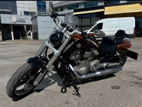 2014 Harley-Davidson V-Rod Muscle, золотистый, 1350000 рублей, вид 5