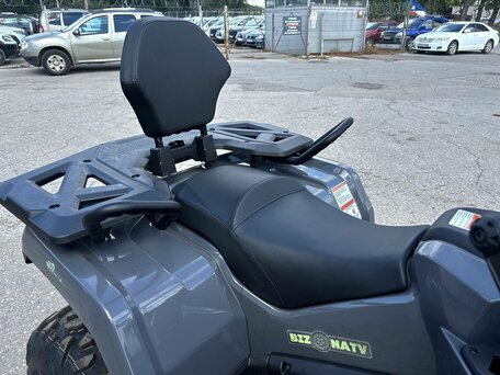 2026 Bizon YK250 LUX EFI, серый, 309990 рублей, вид 3