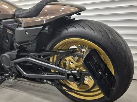 2022 Harley-Davidson Sportster S, коричневый, 2650000 рублей, вид 3