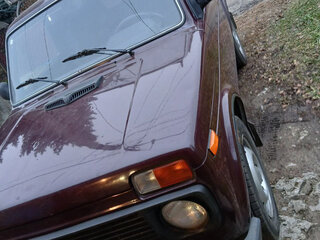 2011 Lada (ВАЗ) 2121 (4x4) I Рестайлинг, пурпурный, 550000 рублей, вид 2
