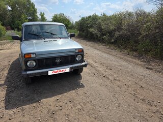 2010 Lada (ВАЗ) 2131 (4x4) I, серый, 550000 рублей, вид 2