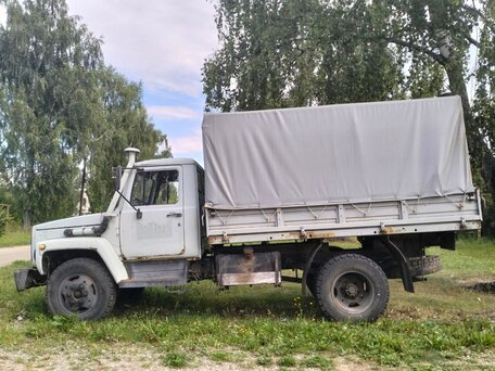 1995 ГАЗ 4301, бежевый, 380000 рублей, вид 4