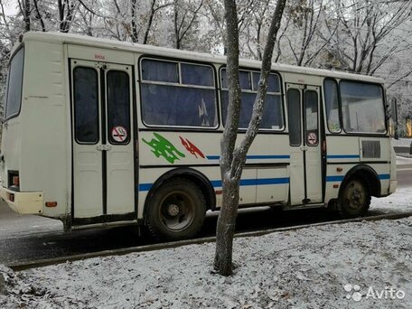 2006 ПАЗ 3205, белый, 290000 рублей, вид 2