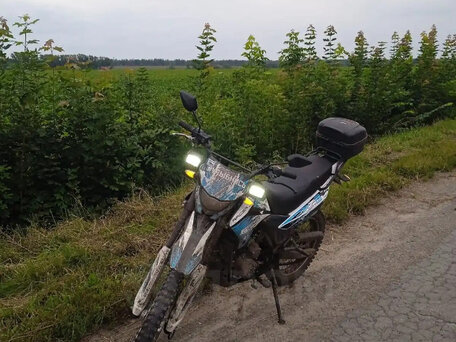 2021 Racer Panther, голубой, 155000 рублей, вид 4