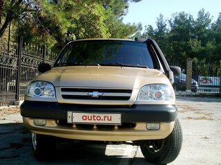 2004 Chevrolet Niva I, золотистый, 445000 рублей, вид 2