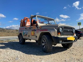 2004 УАЗ Хантер 31519, золотистый, 1500000 рублей, вид 2