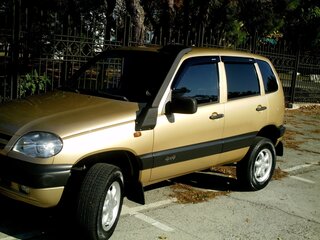 2004 Chevrolet Niva I, золотистый, 445000 рублей, вид 1