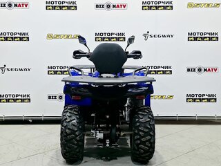 2025 Bison 250U, синий, 309900 рублей, вид 4