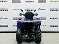 2025 Bison 250U, синий - вид 3