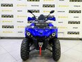 2025 Bison ATV200, синий - вид 7