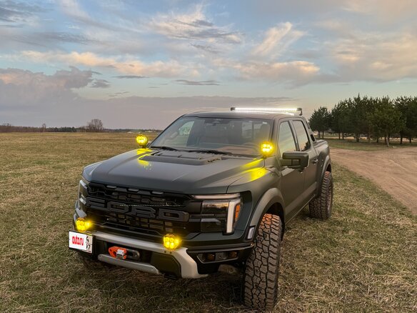 2024 Ford F-150 Raptor XIV Рестайлинг, зелёный, 16950000 рублей - вид 24