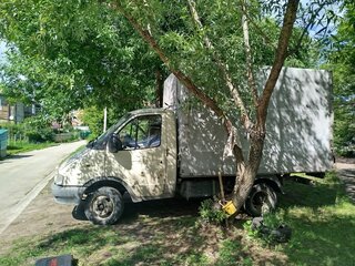 2000 ГАЗ ГАЗель (3302), бежевый, 240000 рублей, вид 5