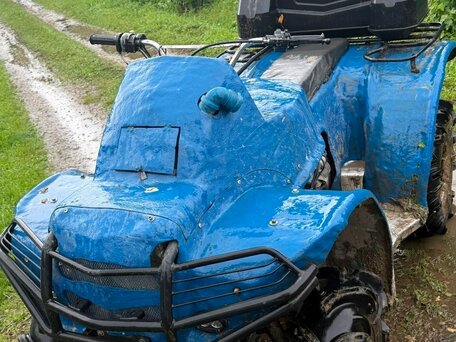2018 Другие ATV (другие), синий, 180000 рублей, вид 2