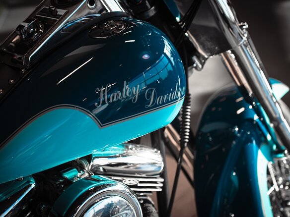 2014 Harley-Davidson Softail Custom, синий, 999999 рублей - вид 7