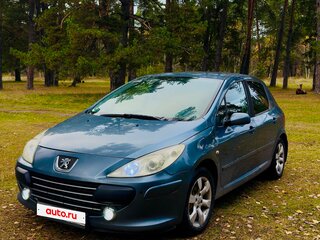 2007 Peugeot 307 I Рестайлинг, серый, 399000 рублей, вид 1