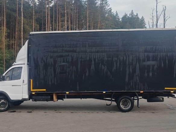 2010 ГАЗ ГАЗель (3302), белый, 1100000 рублей - вид 6