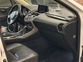 2017 Lexus NX 200 I Рестайлинг, белый, 2600000 рублей - вид 6