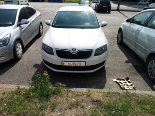 2016 Skoda Octavia III (A7), белый, 700000 рублей, вид 2