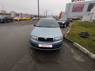 2005 Skoda Fabia I Рестайлинг, серый, 320000 рублей, вид 1