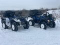 2015 Stels ATV-300, синий, 375000 рублей - вид 7