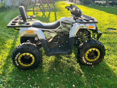 2019 Motoland Wild Track 200, белый, 140000 рублей, вид 3