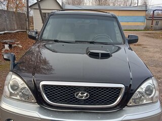 2002 Hyundai Terracan I, чёрный, 880000 рублей, вид 1
