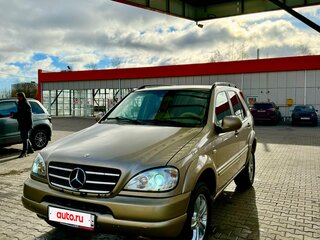 2001 Mercedes-Benz M-Класс 320 I (W163), серый, 580000 рублей, вид 1