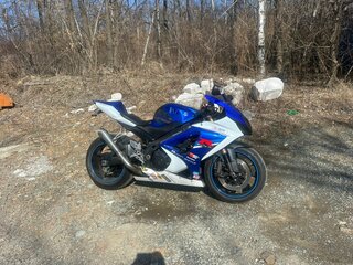 2007 Suzuki GSX-R 1000, синий, 550000 рублей, вид 5